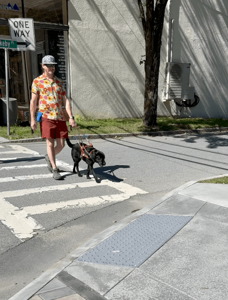Kevin and Yahtzee walk confidently on a crosswalk