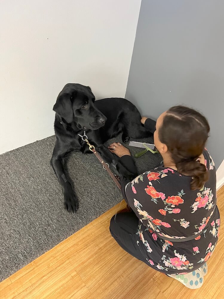Rachel tends to guide Vic on the grooming table while she kneels on the floor