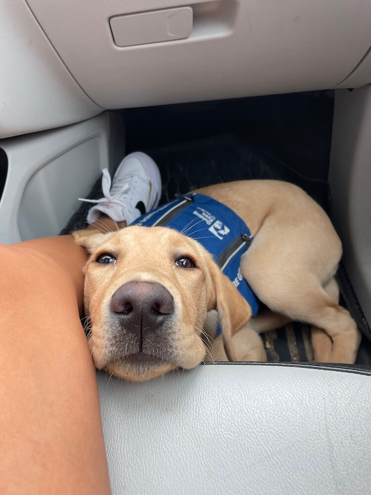 Omega wears her blue Future Guide jacket and holds her head against a the edge of a car seat