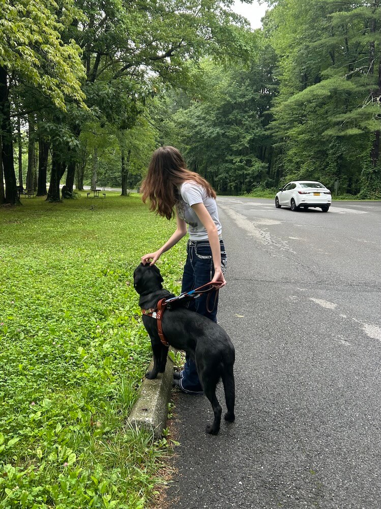 Kalia bends forward to reward Bethany with a head rub as they step up from a road to a grassy area