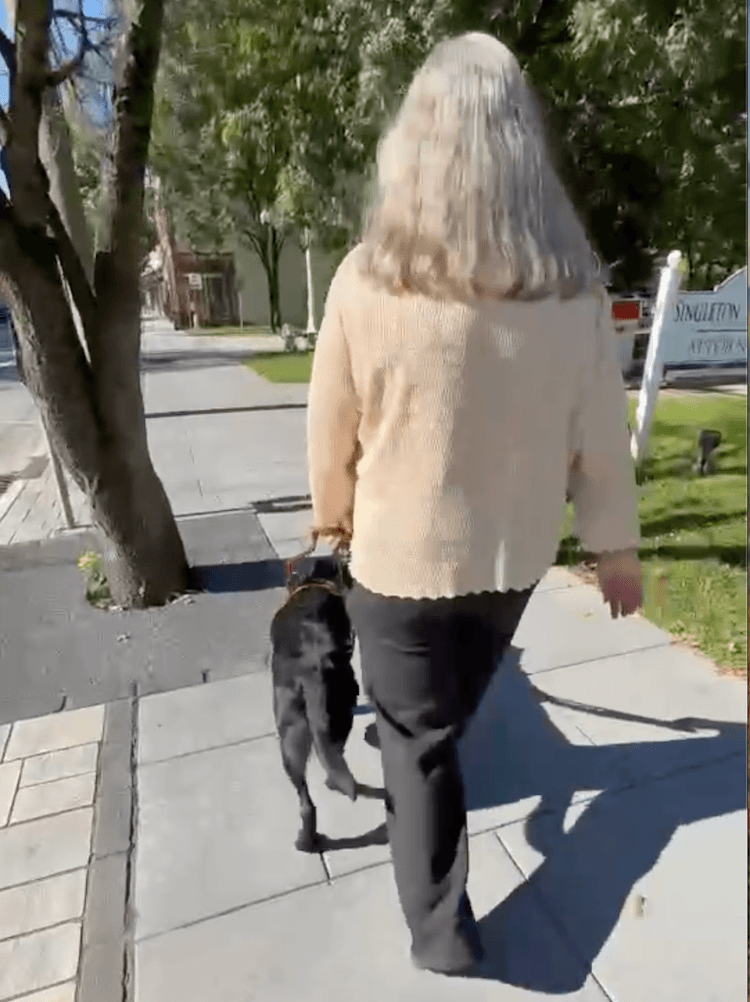 Guide dog Mimi steers handler Gail around the surface change of a tree planted in a sidewalk.