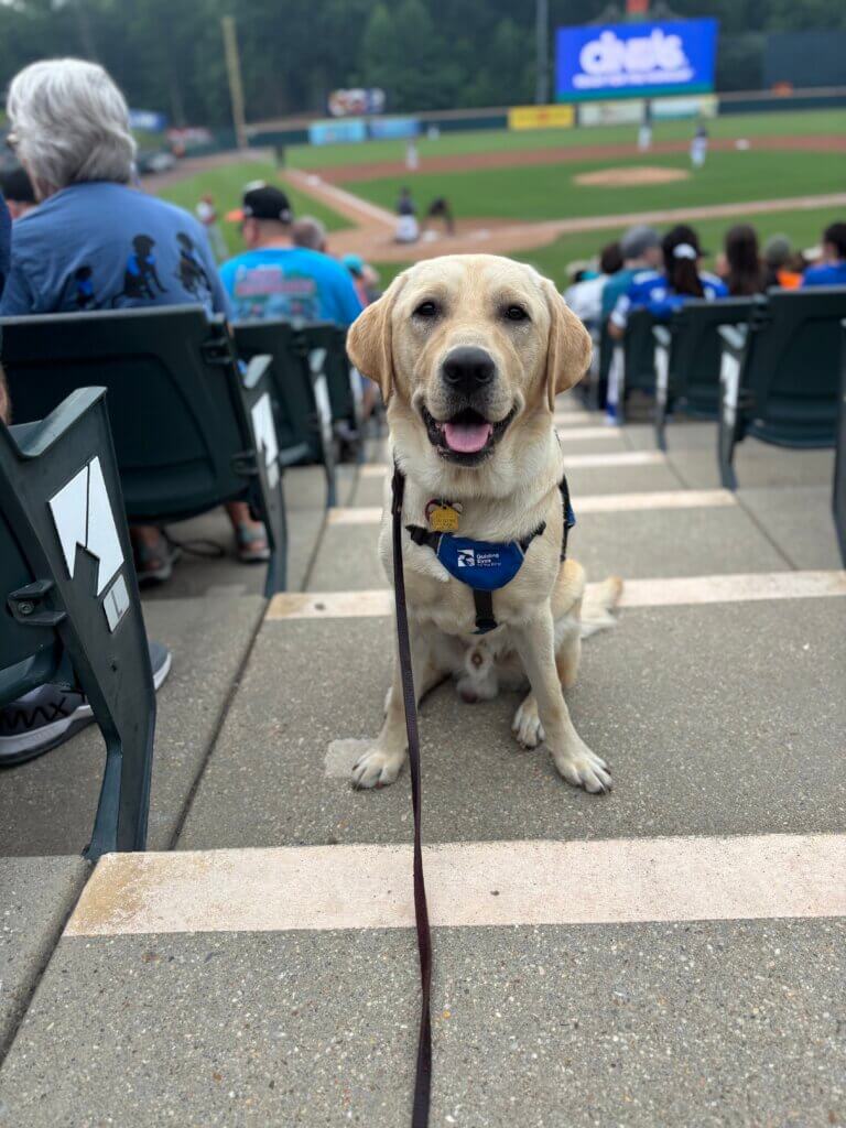 Jersey sits in the descending aisle of a baseball stadium in a future guide vest