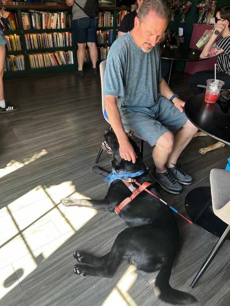 In a coffee shop, Wade lovingly pets Keaton who is happy to receive it